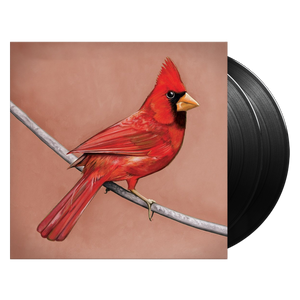 Old Crows / Young Cardinals