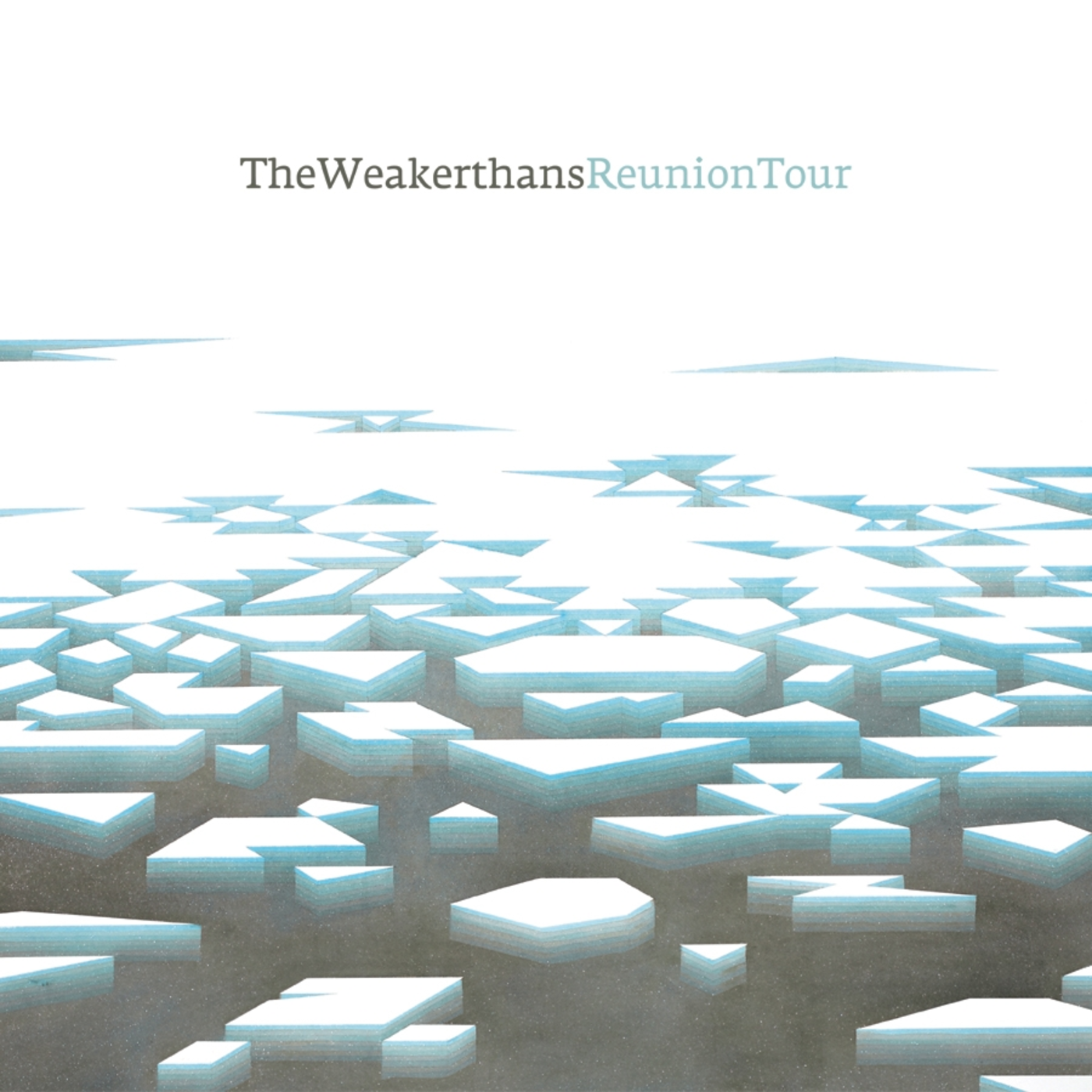 Reunion Tour (LP)