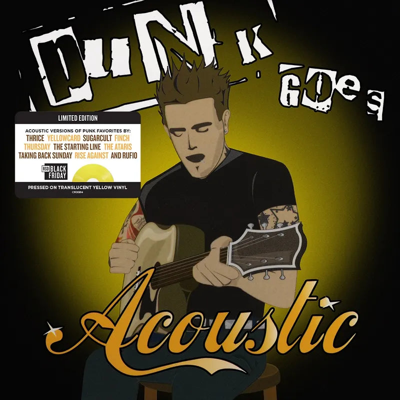 Punk Goes Acoustic