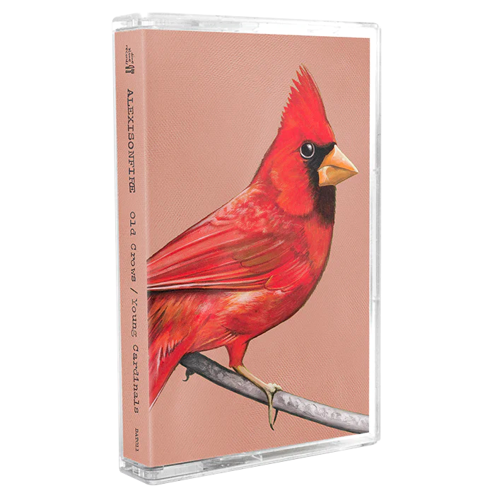 Old Crows / Young Cardinals