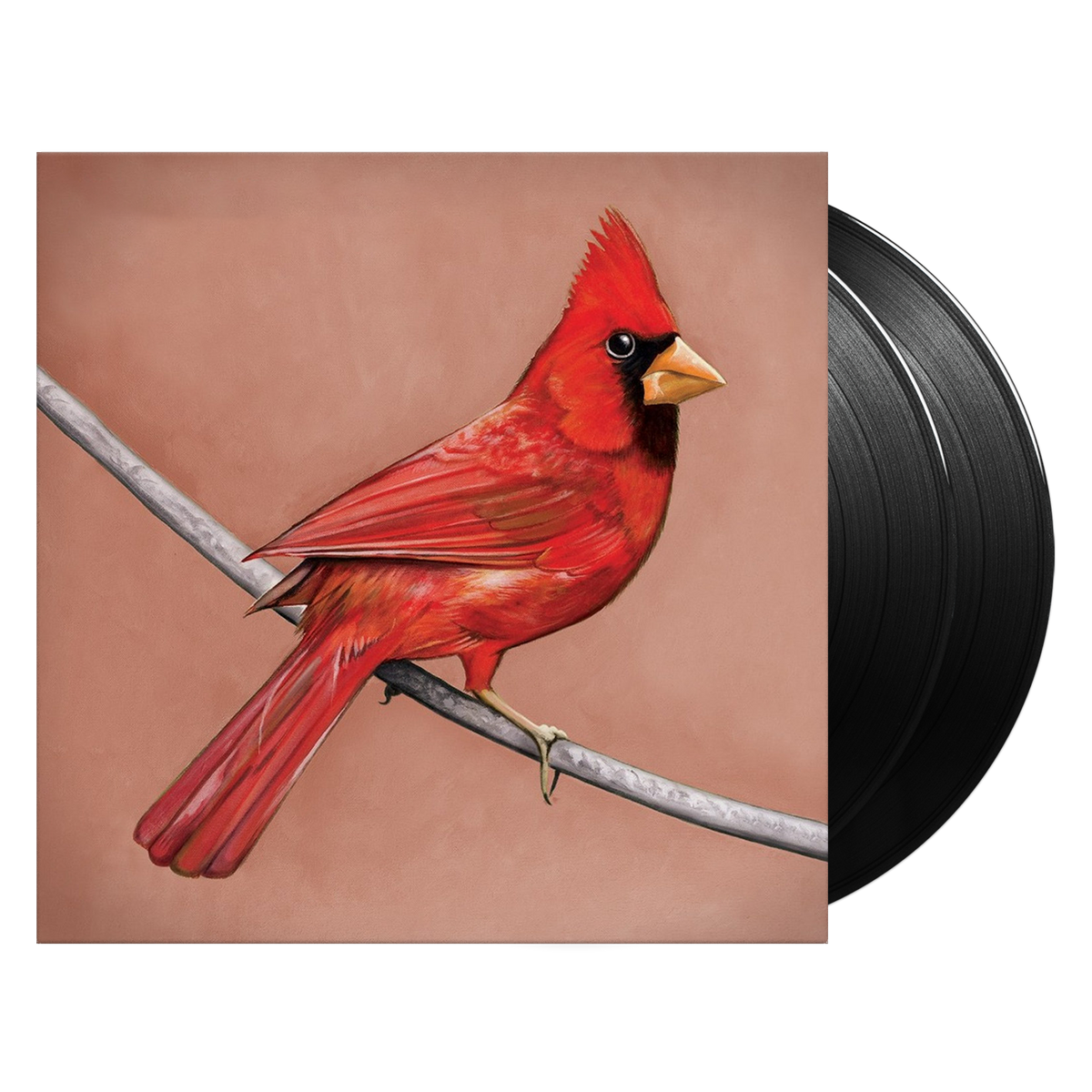 Old Crows / Young Cardinals