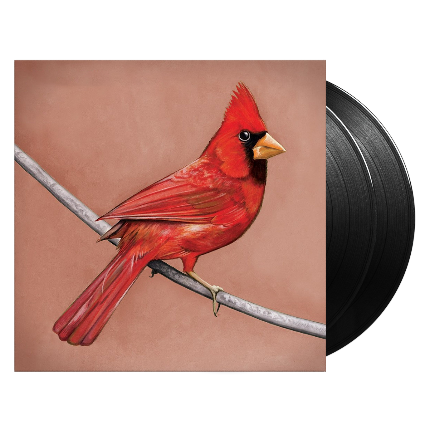 Old Crows / Young Cardinals