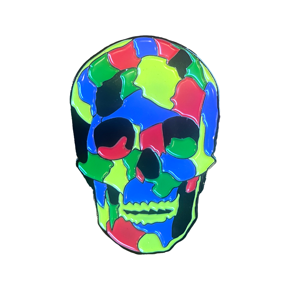 Rich Aucoin Skull Pin