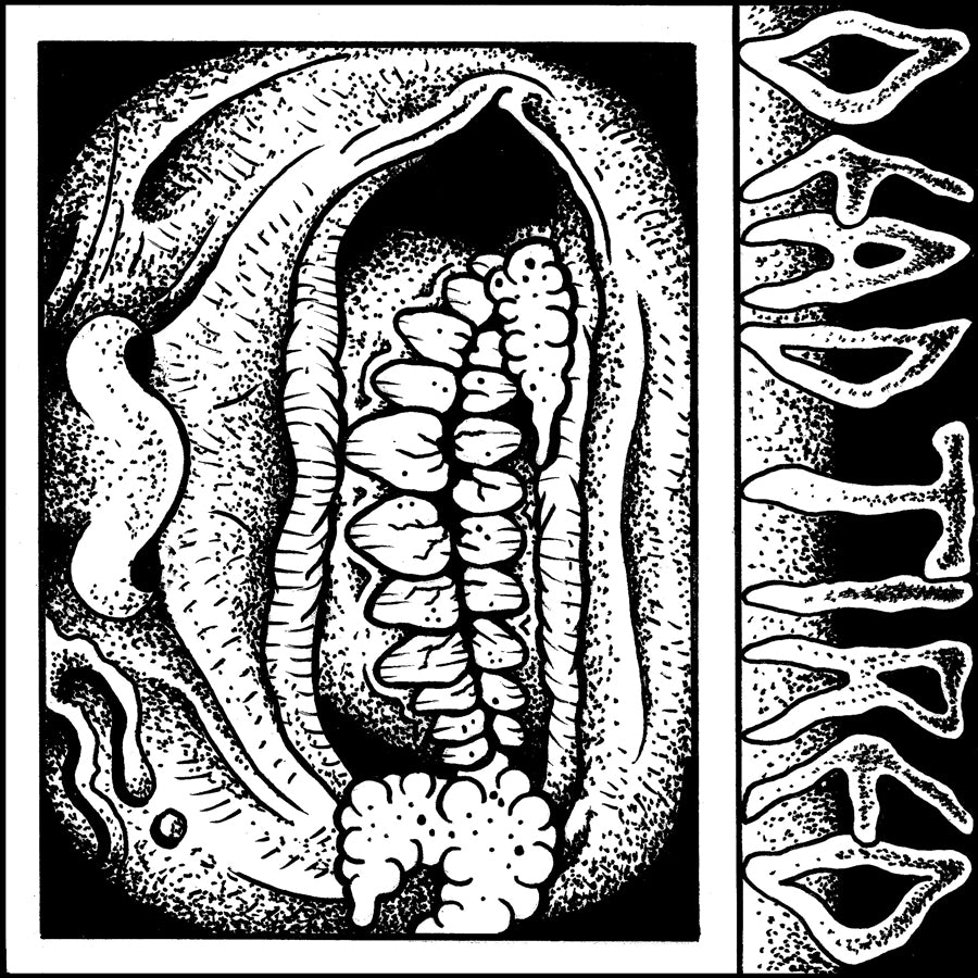 Vol. Three (7")