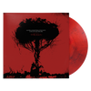 Saying Something You Have Already Said Before, A Quiet Side of Moneen
