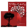 Saying Something You Have Already Said Before, A Quiet Side of Moneen Vinyl + Poster Bundle