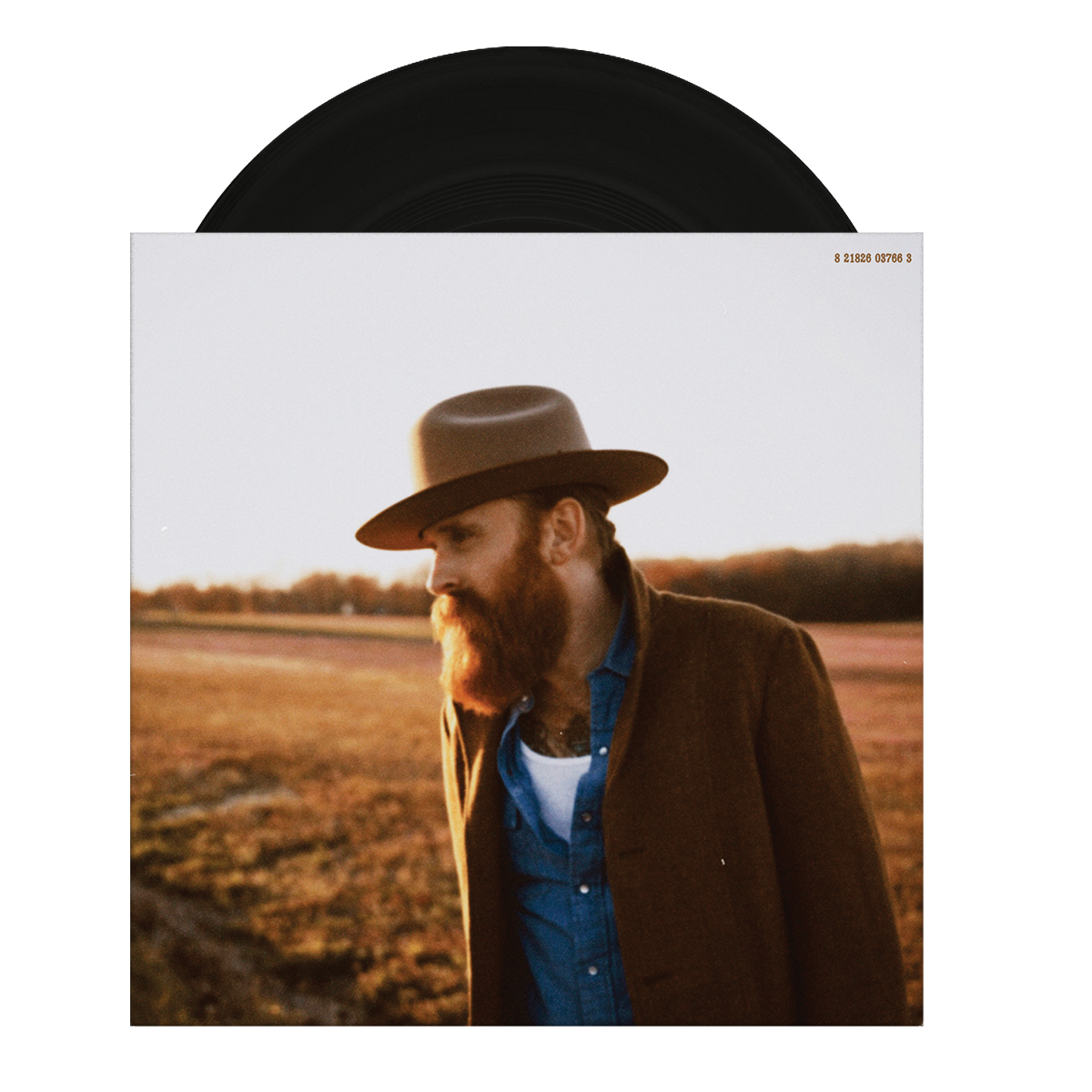 This Old House/Without You (7")