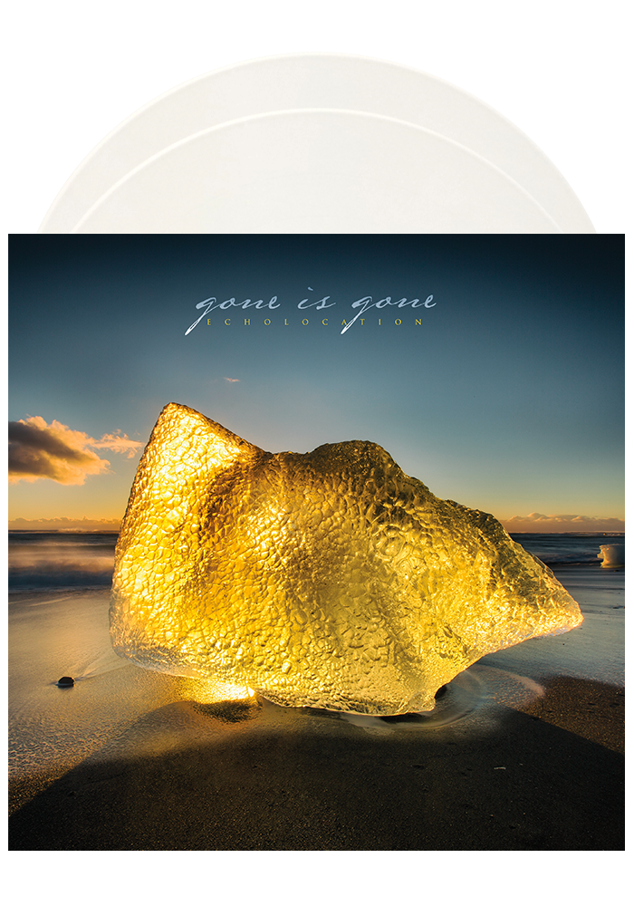 Echolocation (2LP)-Gone Is Gone-Dine Alone Records