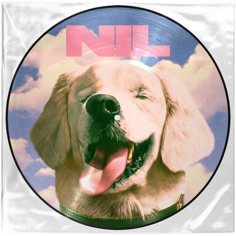 Fuck Art (Picture Disc LP)